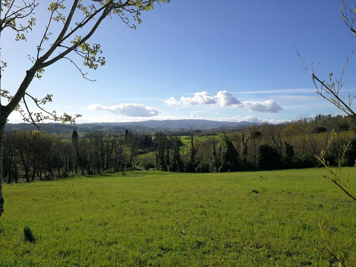 Masseria Le Querciole Fauglia 外观 照片