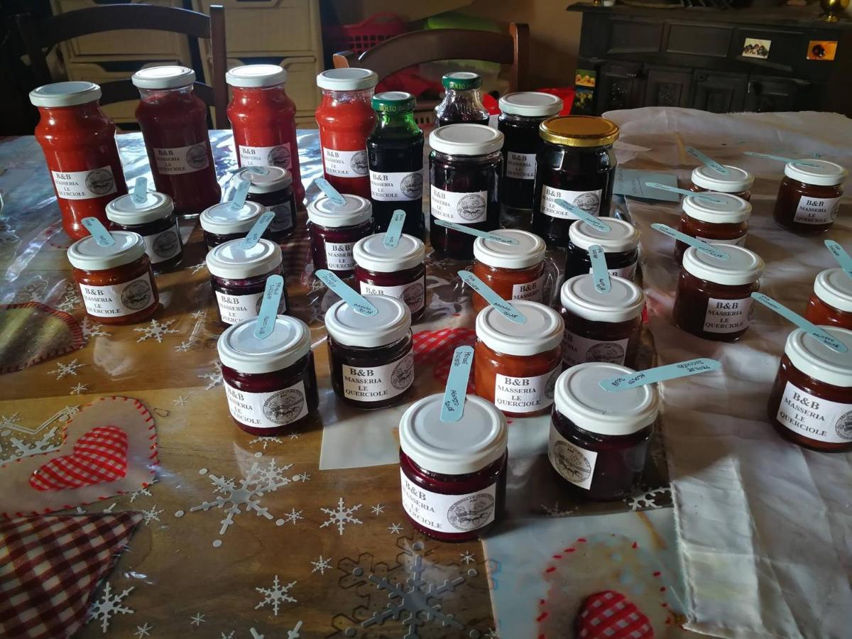 Masseria Le Querciole Fauglia 外观 照片