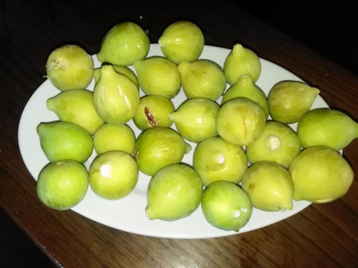 Masseria Le Querciole Fauglia 外观 照片
