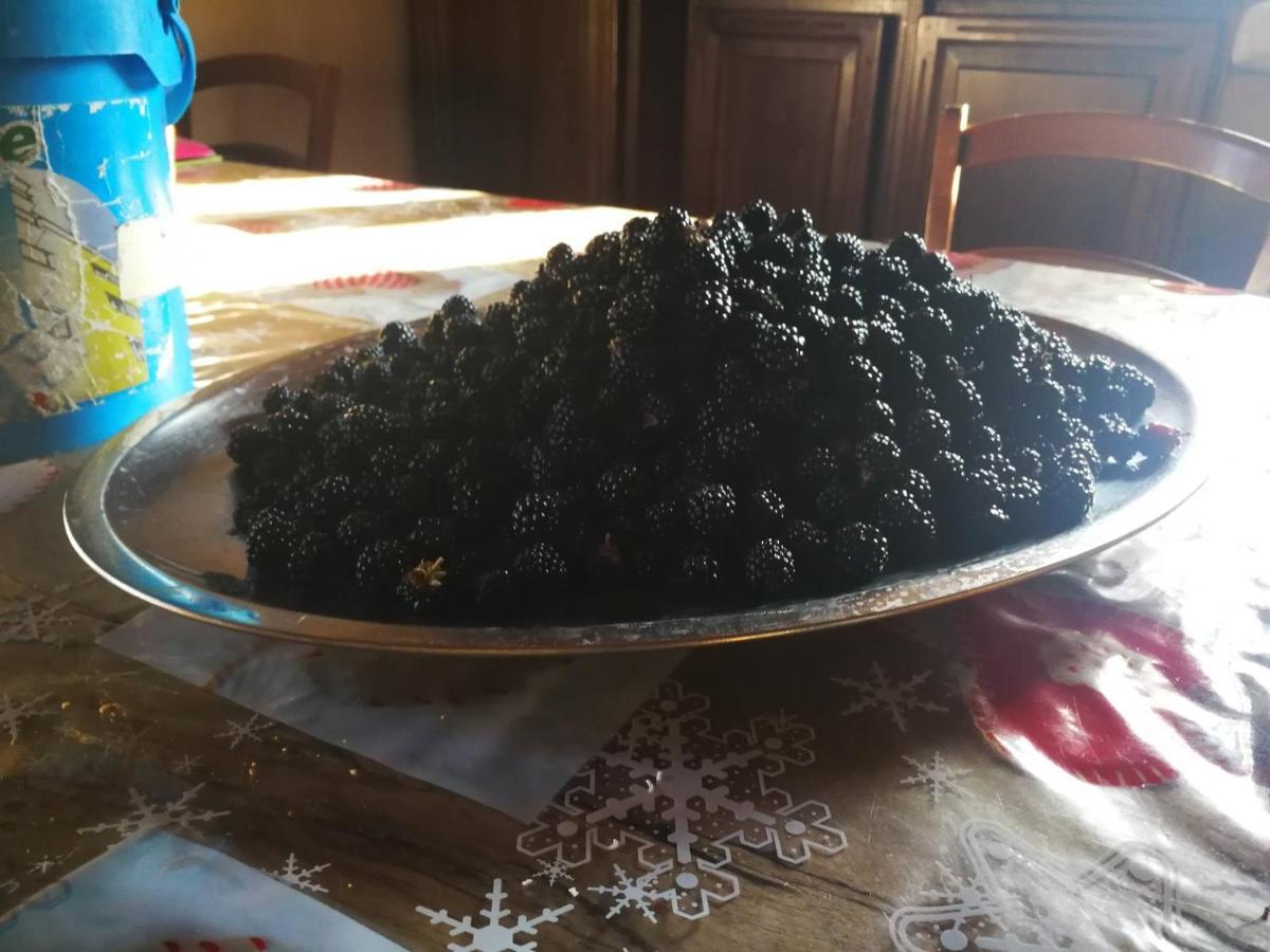 Masseria Le Querciole Fauglia 外观 照片