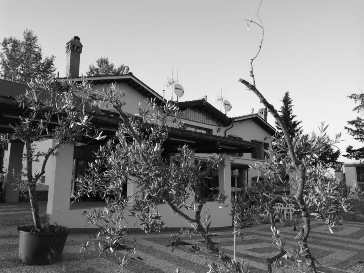 Masseria Le Querciole Fauglia 外观 照片