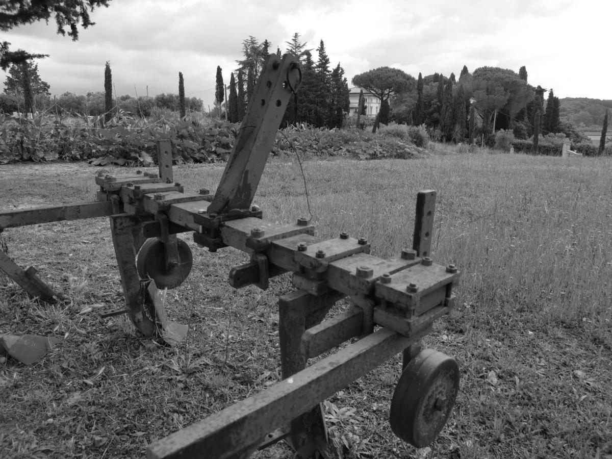 Masseria Le Querciole Fauglia 外观 照片