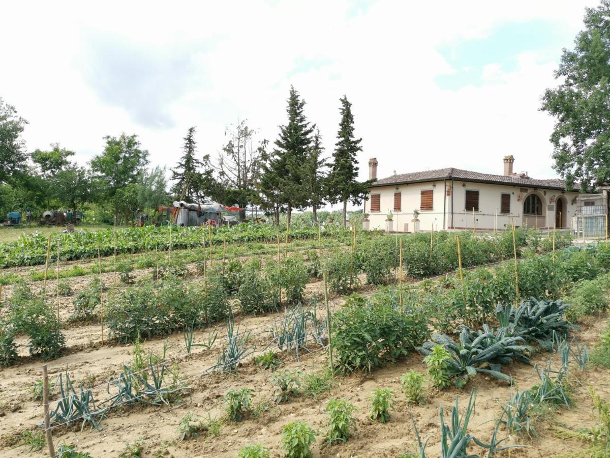 Masseria Le Querciole Fauglia 外观 照片