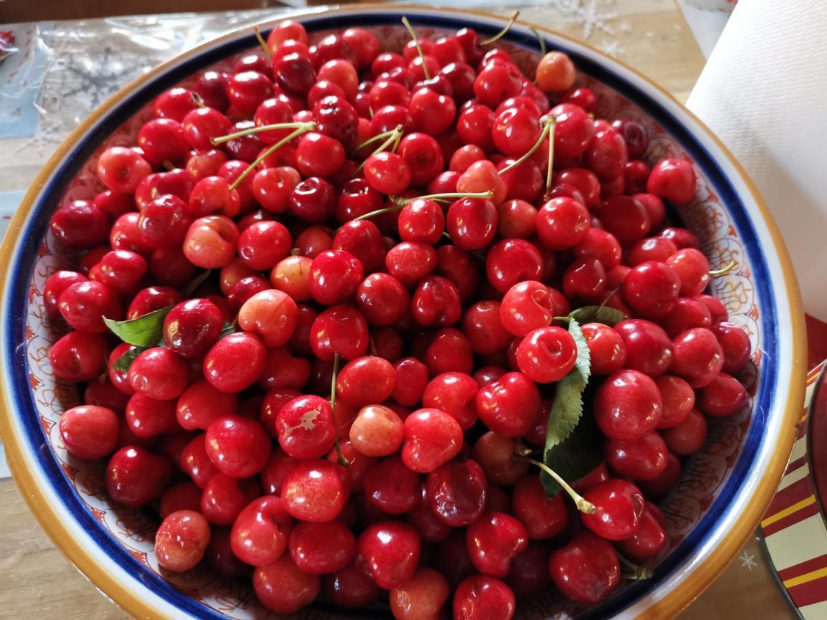 Masseria Le Querciole Fauglia 外观 照片