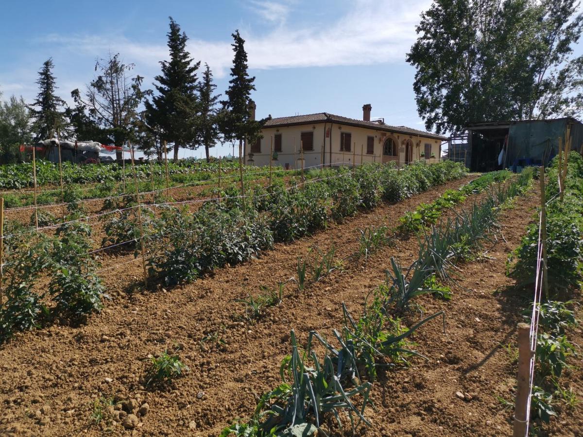 Masseria Le Querciole Fauglia 外观 照片